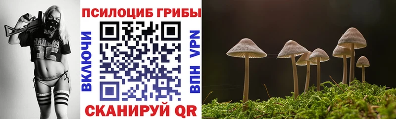 Псилоцибиновые грибы мухоморы  дарк нет какой сайт  Похвистнево  цена  